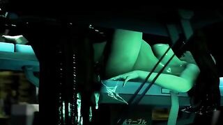 Icarus hentai in three-dimensional animation