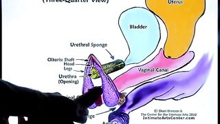 How to make a girl cum like a fountain - the ultimate squirt tutorial!