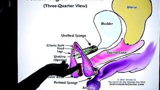 How to squirt? The ultimate guide by Mr. PussyLicking, your go-to for intense, wet, and wild tutorials!