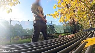 Stranger MILF in the park gets her tits smashed by my dick