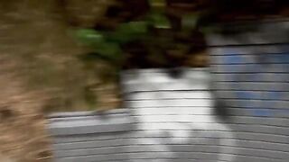 A woman meets a stranger in the park and he fucks her hard there