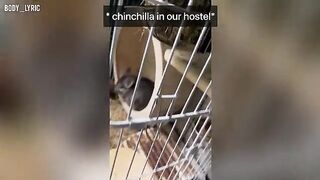 A girl is having sex in a capsule hostel and traveling to the big city