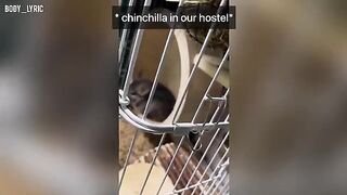 A girl is having sex in a capsule hostel and traveling to the big city