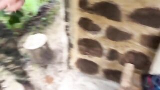 A guy fucked a girl and they got caught in the jungle