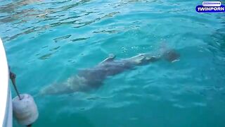 Romantic sex on the boat near island with hot girl