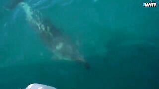 Romantic sex on the boat near island with hot girl