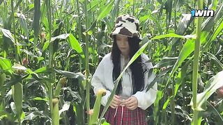 A security guard stopped a thief in the cornfield and reported to the police