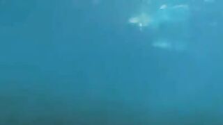 Underwater sex of two aqua sexy girls at the bottom of the sea