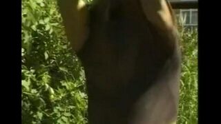 A man plays with his big cock in the hayloft