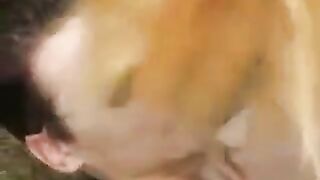 Babe has sex in the park with a young guy who fucks her