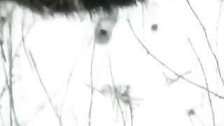 Winter street blowjob with a sweet and deep pussy fuck - Eporn