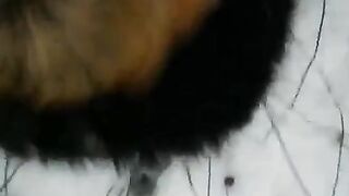 Winter street blowjob with a sweet and deep pussy fuck - Eporn