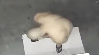 A naked man was spied on in the shower, and it’s quite hot