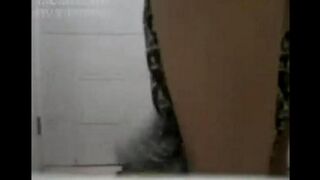 Sex with Chinese girls in a roller coaster ride
