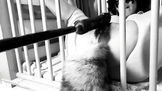 A day in the life of a Kitten: Ep.1 - Squirt on her tail