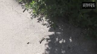 A young German couple try their luck in a new country - Vlog
