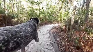 A couple enjoys fun in the jungle, brought to life by Sparks Go Wild