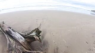 The beach is always humid – from the sea and due to the couple’s passion